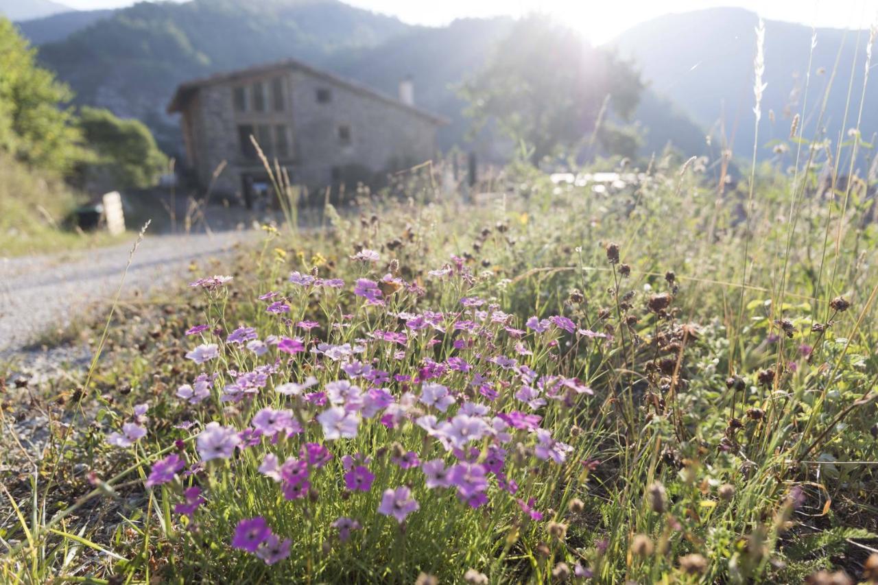 Mas Rural El Negre Hostel Ogassa Kültér fotó