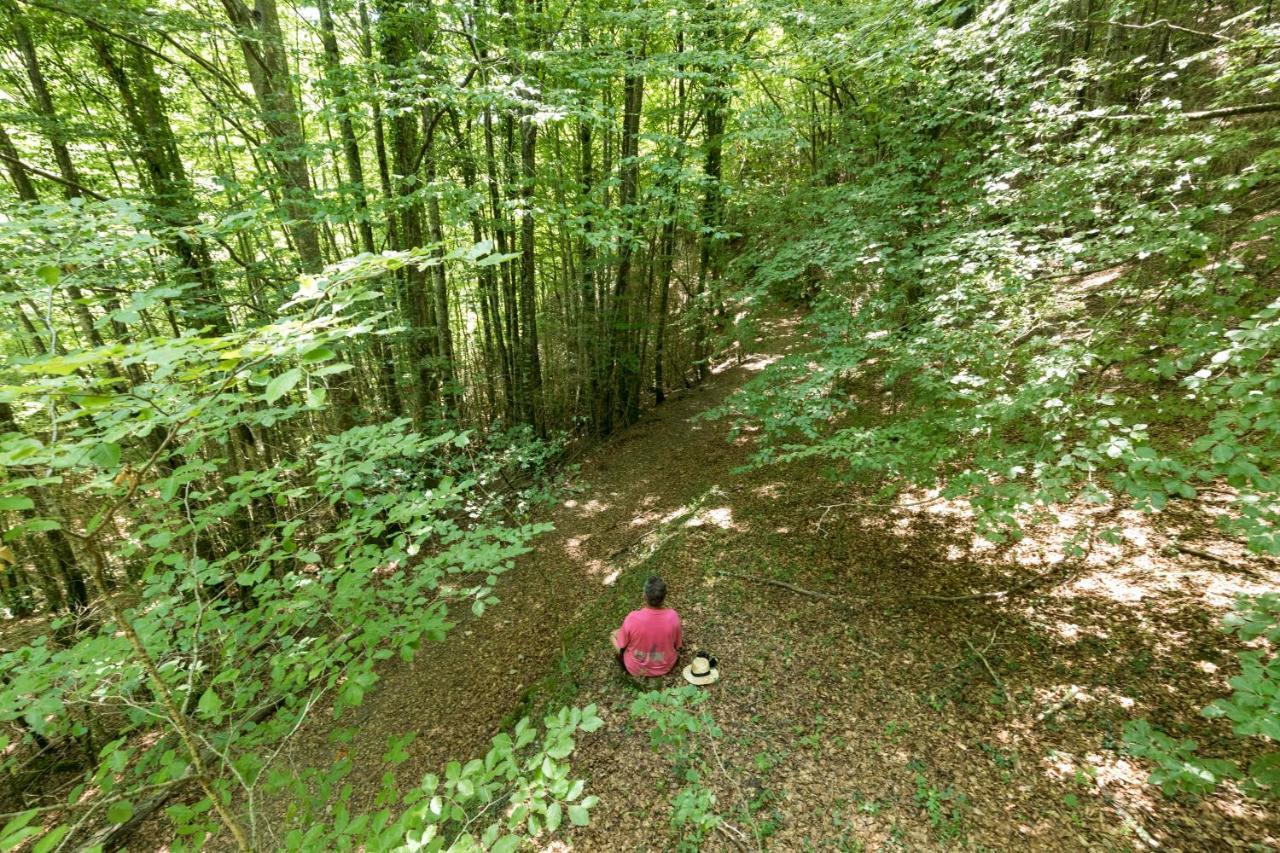 Mas Rural El Negre Hostel Ogassa Kültér fotó