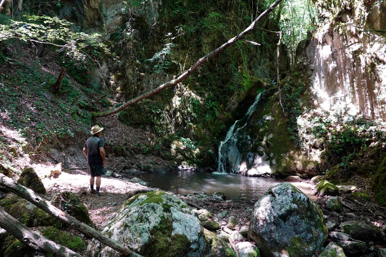 Mas Rural El Negre Hostel Ogassa Kültér fotó
