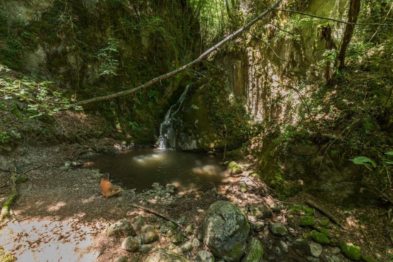 Mas Rural El Negre Hostel Ogassa Kültér fotó